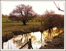 reflections in winter.jpg